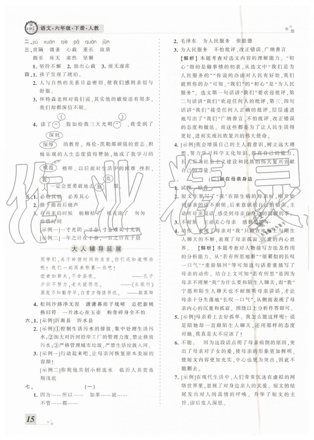 2019年王朝霞各地期末試卷精選六年級(jí)語文下冊(cè)人教版臨沂專版 第15頁(yè)