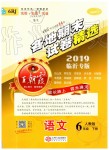 2019年王朝霞各地期末試卷精選六年級語文下冊人教版臨沂專版