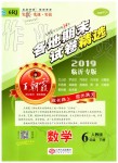 2019年王朝霞各地期末試卷精選六年級數(shù)學(xué)下冊人教版臨沂專版