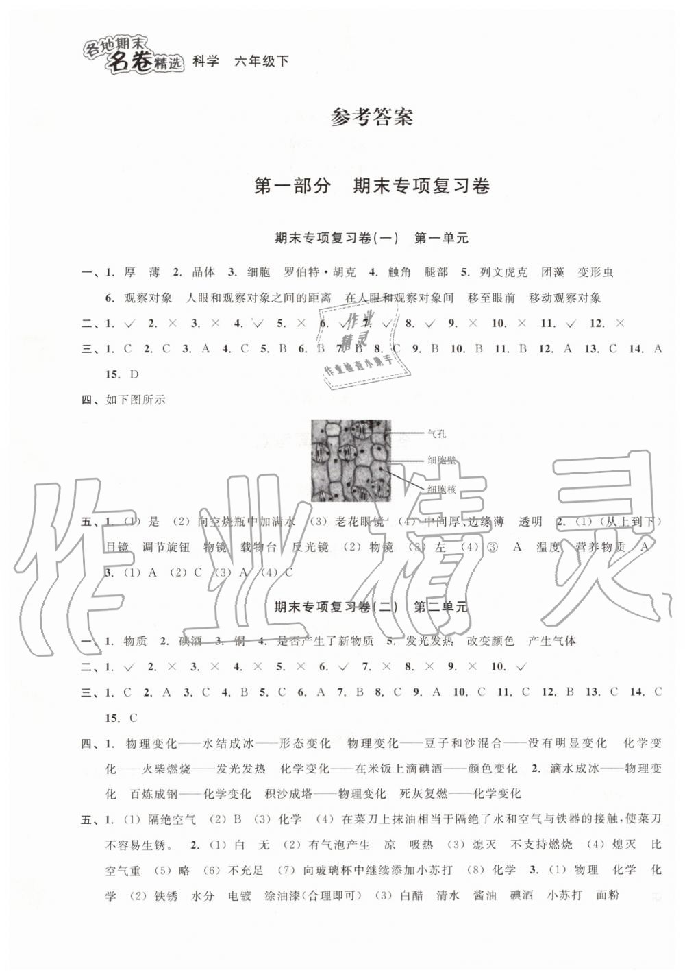 2019年各地期末名卷精選六年級(jí)科學(xué)下冊(cè)教科版 第1頁