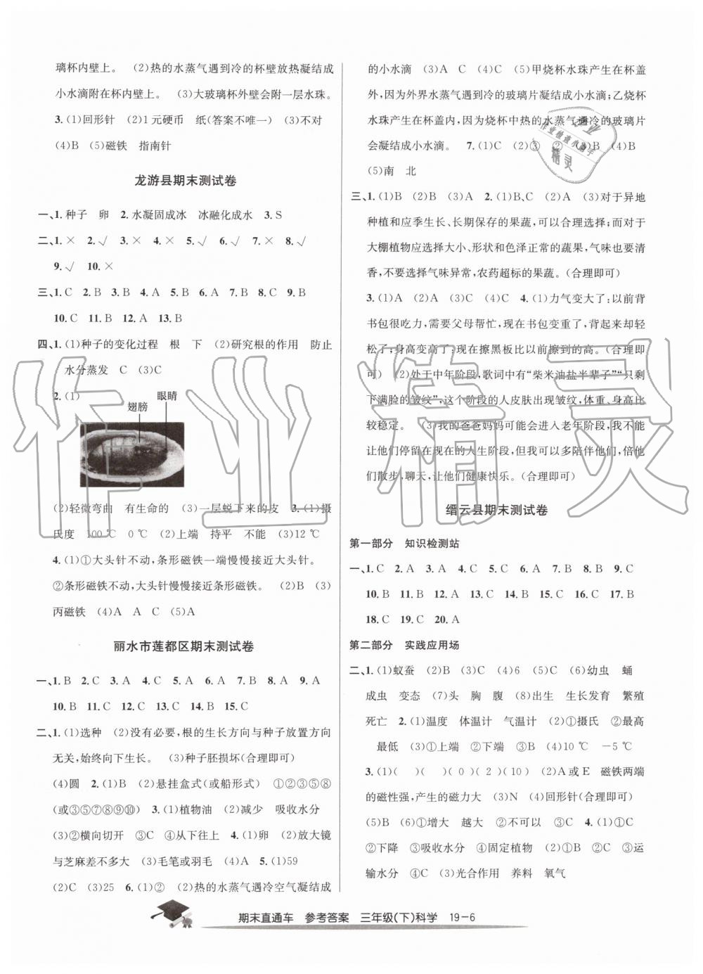 2019年期末直通车三年级科学下册教科版 第6页