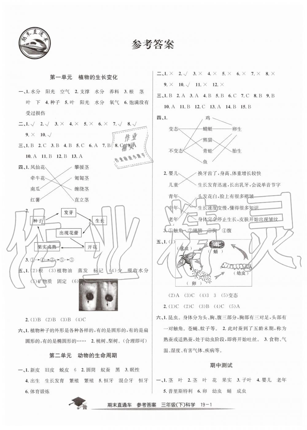 2019年期末直通车三年级科学下册教科版 第1页