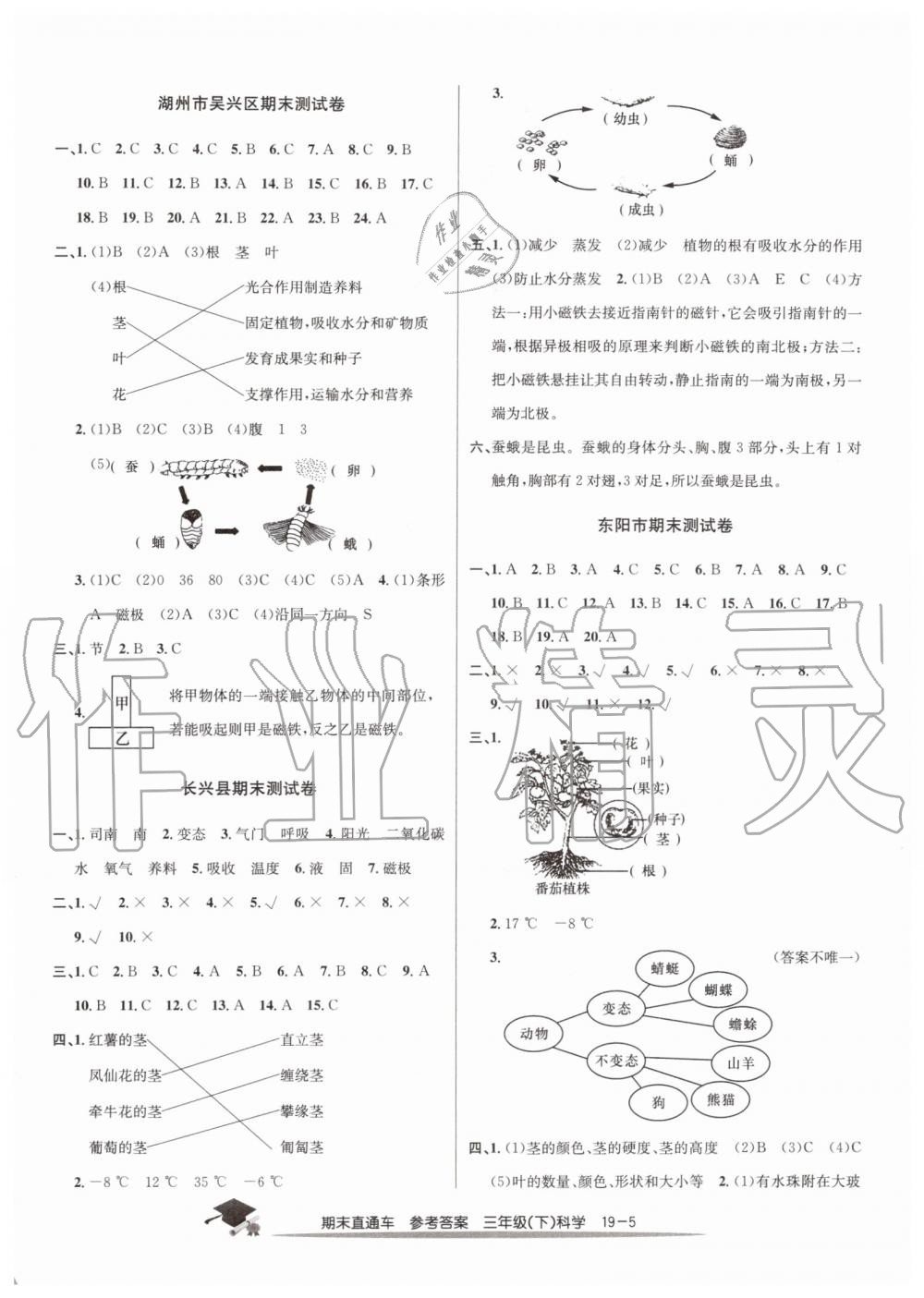 2019年期末直通车三年级科学下册教科版 第5页