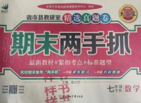 2019年期末兩手抓七年級數(shù)學下冊人教版