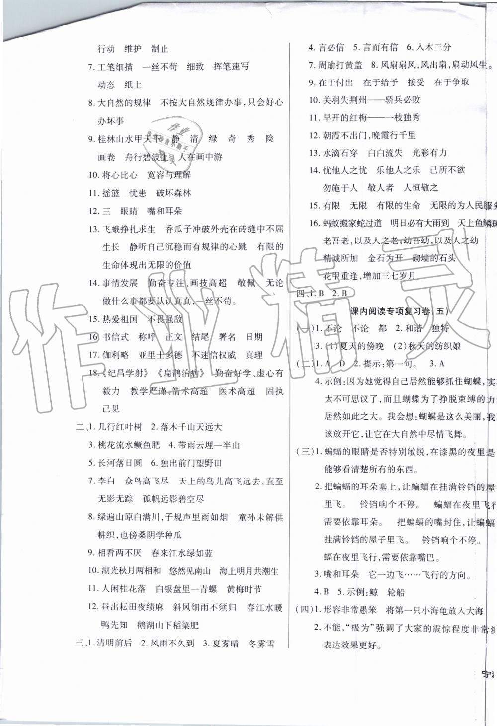 2019年金點(diǎn)子期末真題匯編精選卷四年級語文下冊人教版寧波專版 第3頁