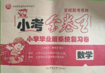 2019年小考金卷王小學(xué)畢業(yè)班系統(tǒng)復(fù)習(xí)卷六年級(jí)數(shù)學(xué)下冊(cè)