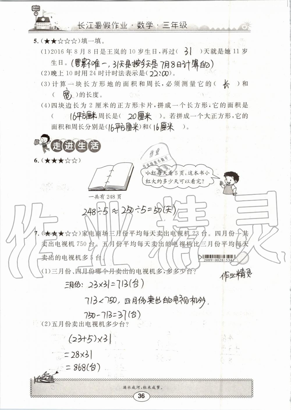 2019年长江暑假作业三年级数学崇文书局 第36页