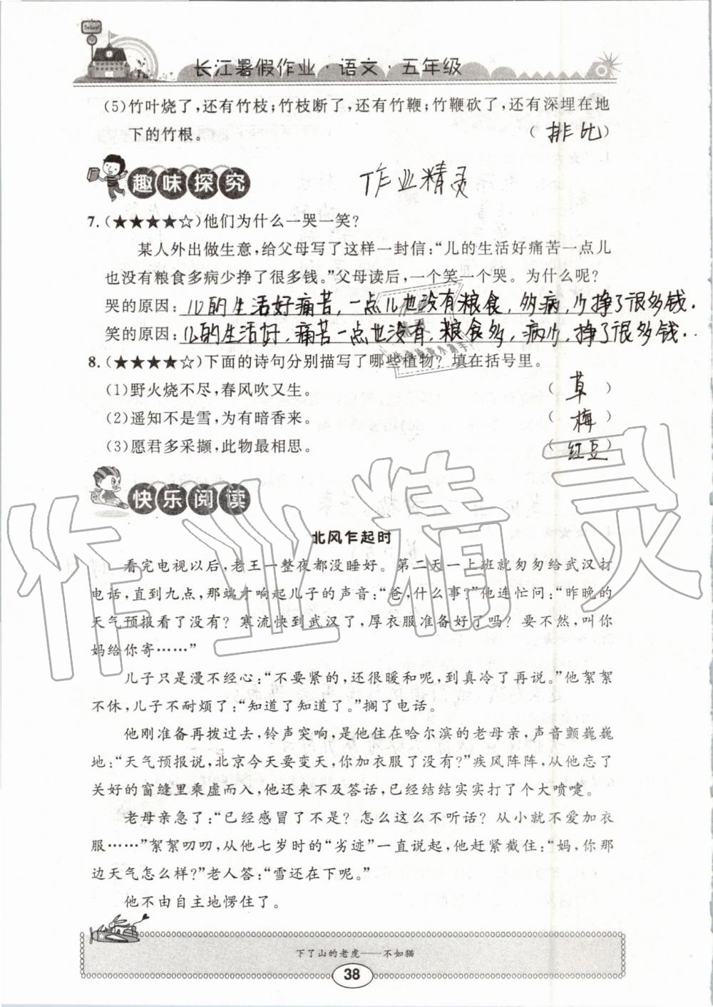 2019年长江暑假作业五年级语文崇文书局 第38页