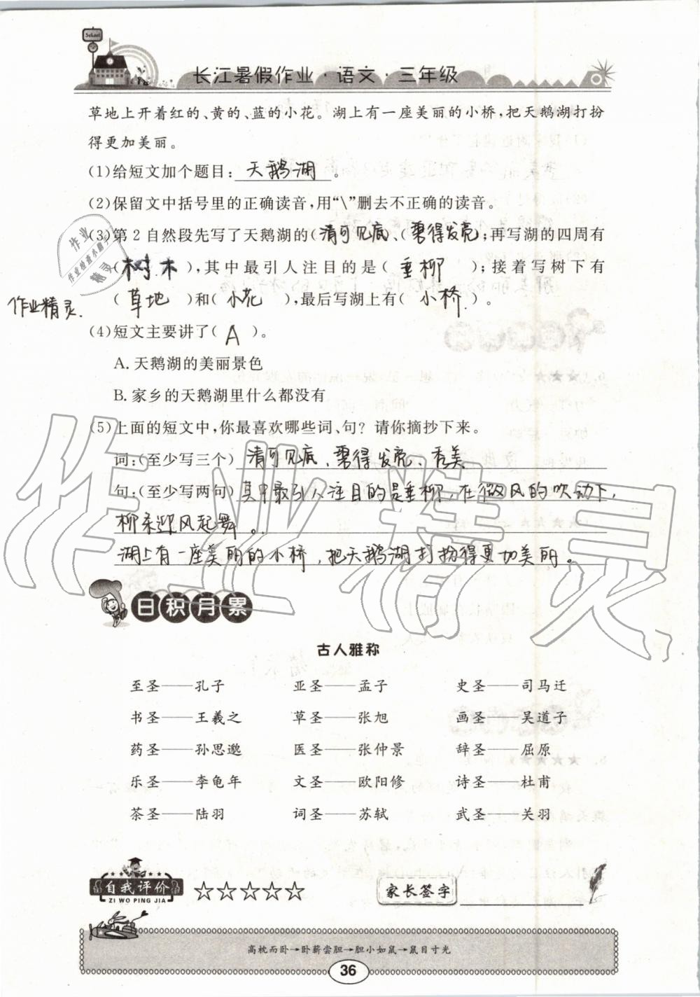 2019年長江暑假作業(yè)三年級語文崇文書局 第36頁