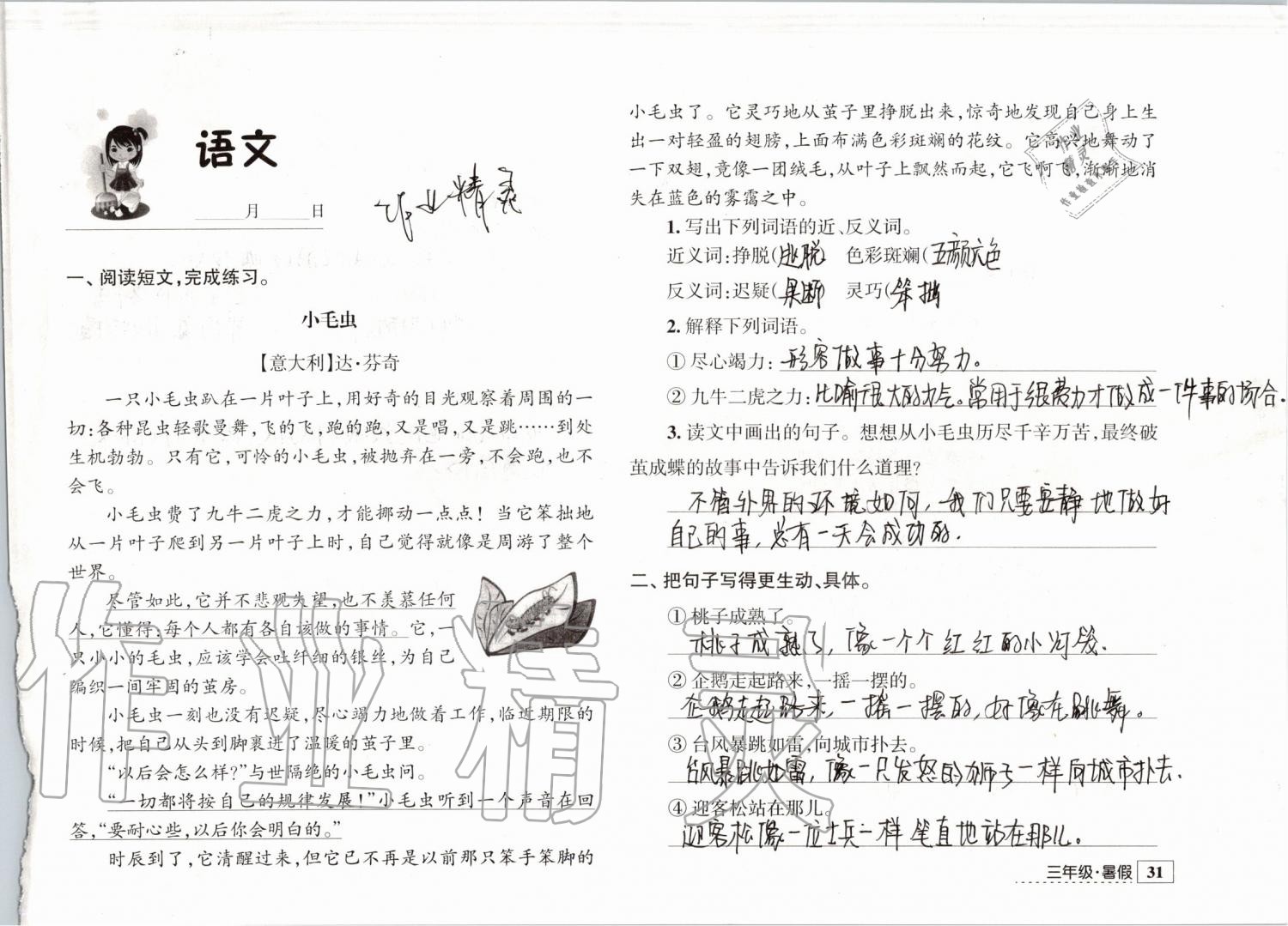 2019年学习与探究暑假学习三年级江苏人民出版社 第31页