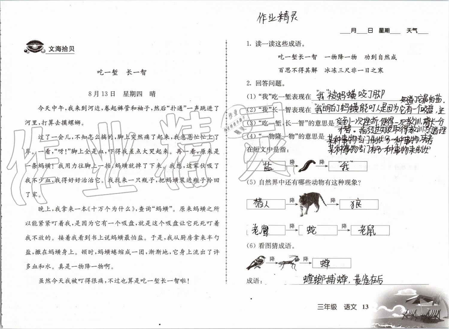 2019年愉快的暑假三年級南京出版社 參考答案第13頁