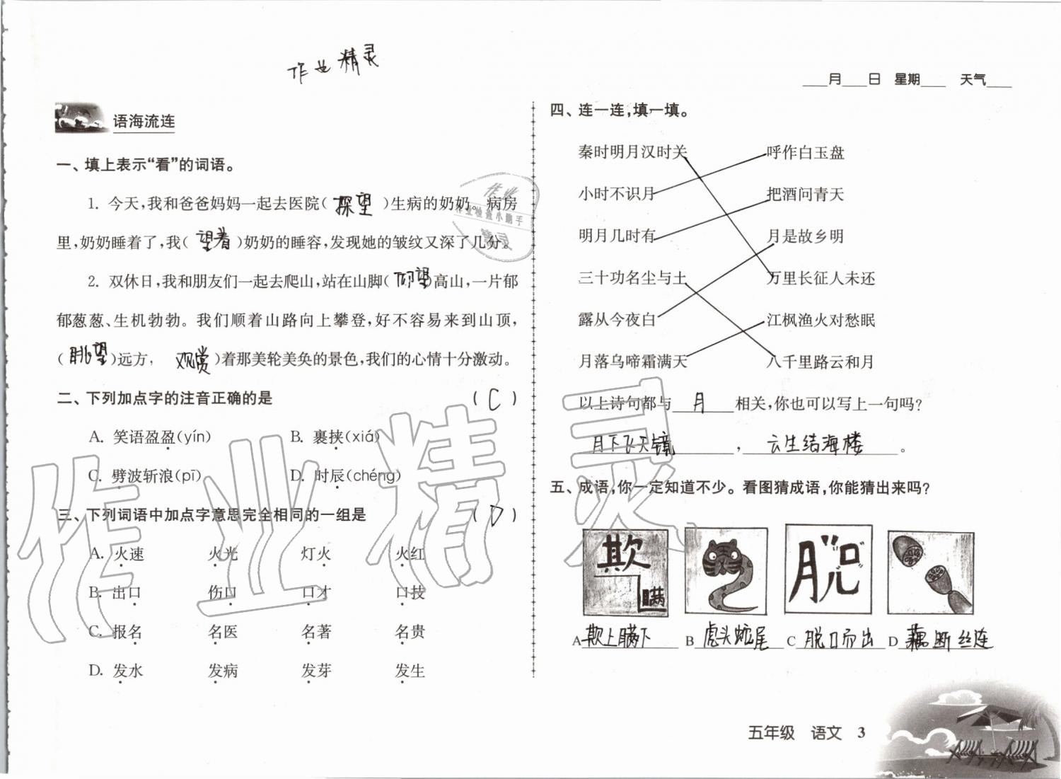 2019年愉快的暑假五年級南京出版社 參考答案第3頁