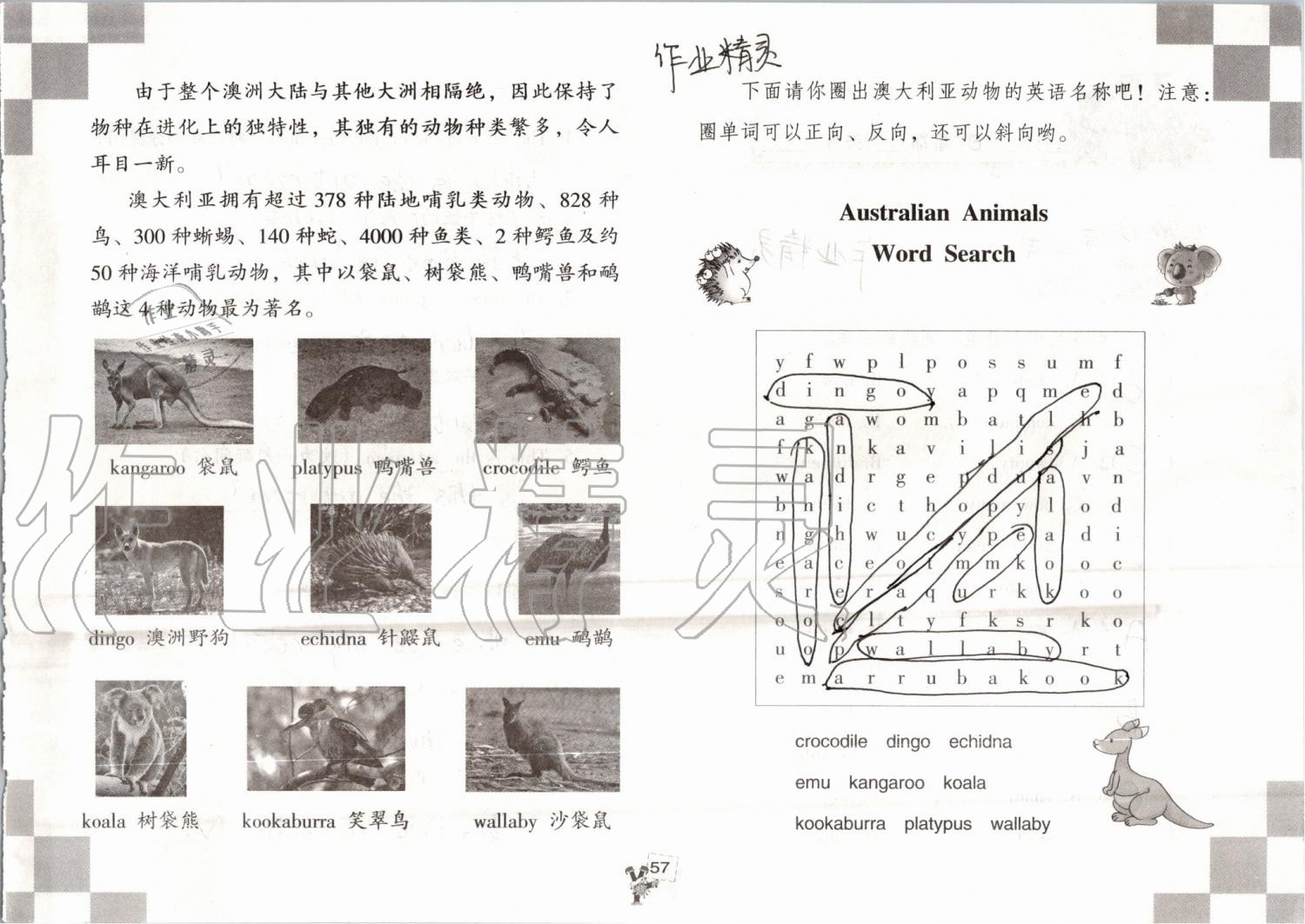 2019年英語暑假作業(yè)四年級人教版海燕出版社 參考答案第57頁