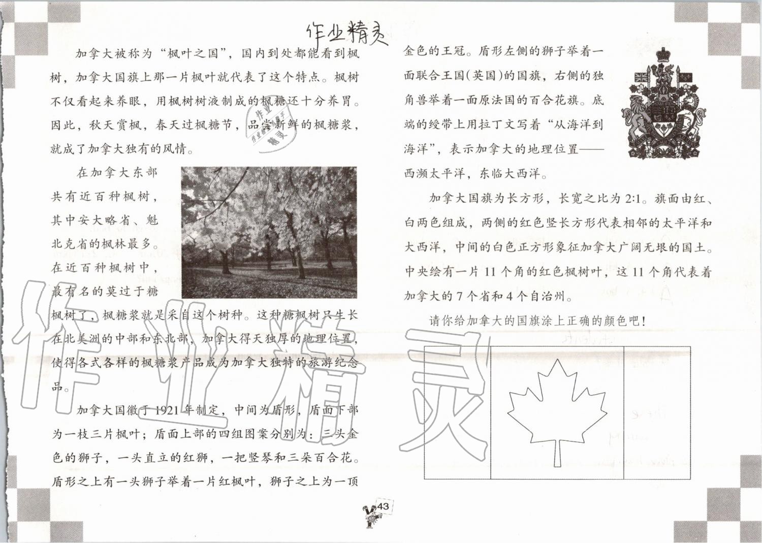 2019年英语暑假作业四年级人教版海燕出版社 参考答案第43页