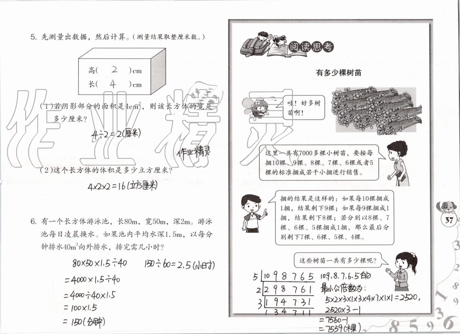 2019年數(shù)學(xué)暑假作業(yè)五年級(jí)人教版海燕出版社 參考答案第37頁