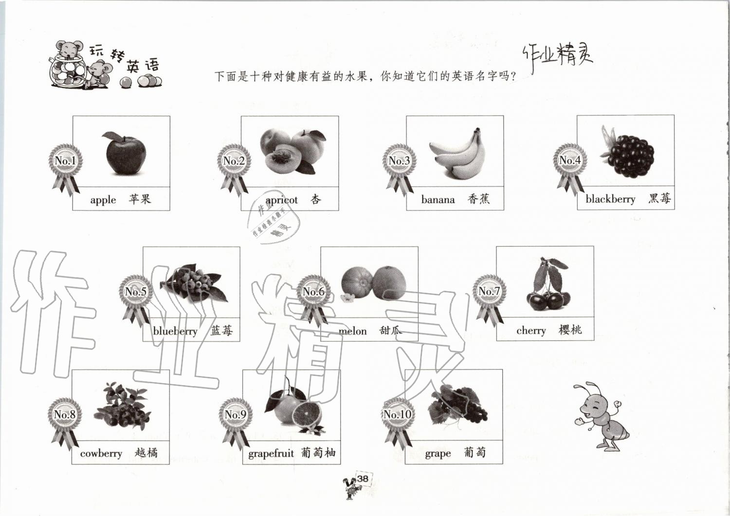 2019年英語(yǔ)暑假作業(yè)三年級(jí)人教版海燕出版社 參考答案第37頁(yè)