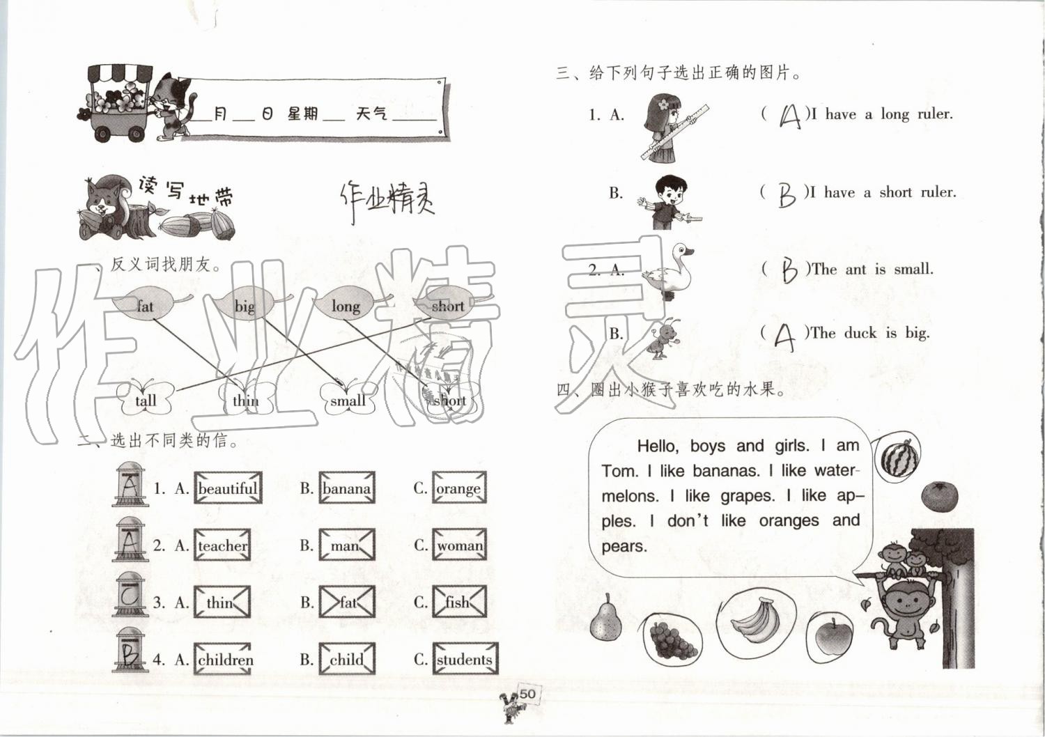 2019年英语暑假作业三年级人教版海燕出版社 参考答案第49页