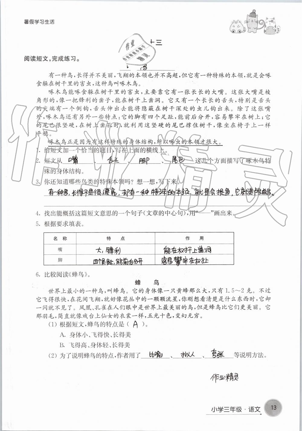 2019年暑假学习生活小学三年级译林出版社 第13页