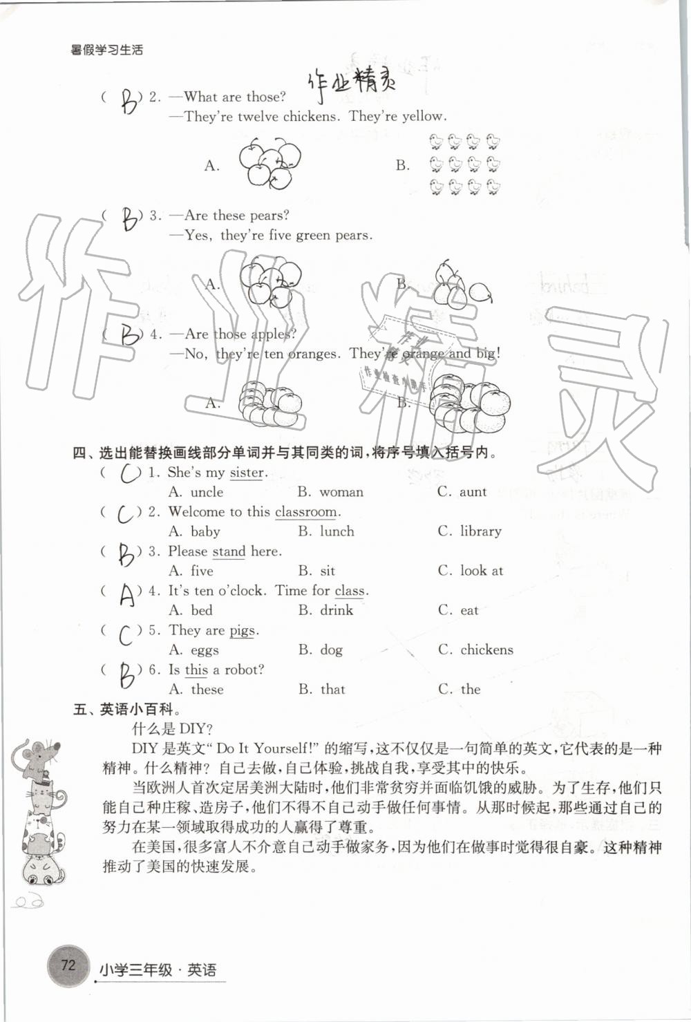 2019年暑假学习生活小学三年级译林出版社 第72页