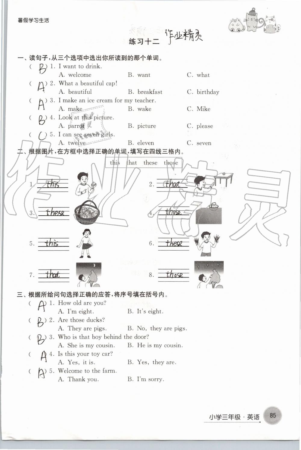 2019年暑假學(xué)習(xí)生活小學(xué)三年級(jí)譯林出版社 第85頁(yè)