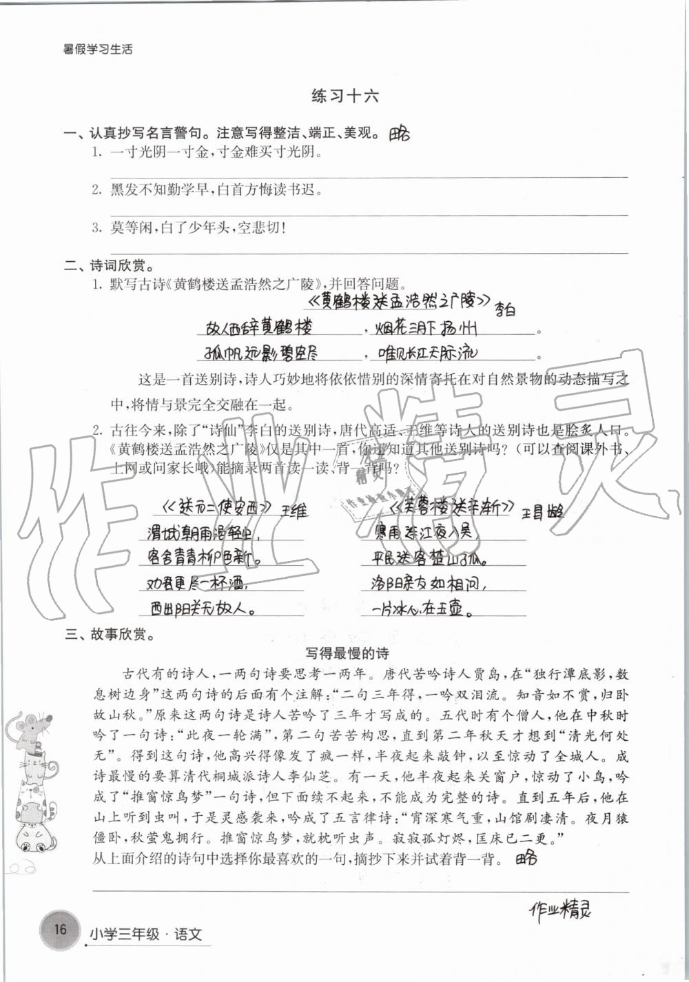 2019年暑假学习生活小学三年级译林出版社 第16页