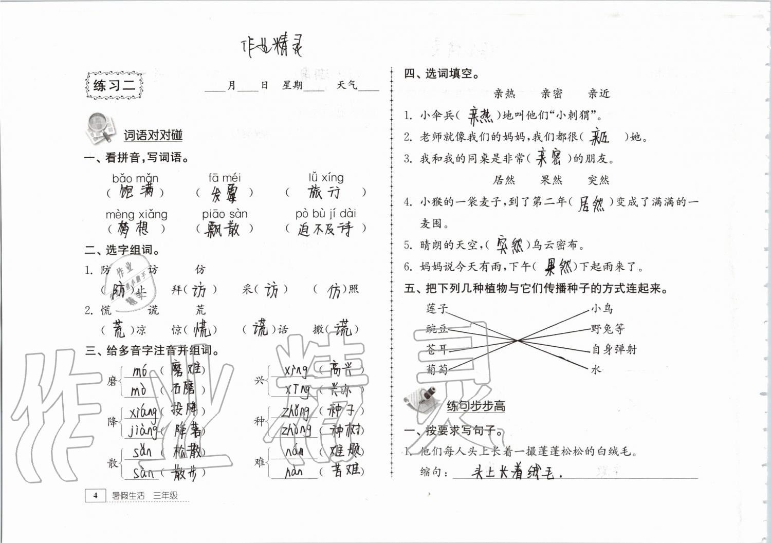 2019年暑假生活三年级教育科学出版社 第4页