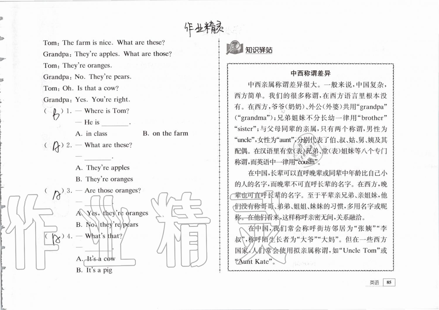 2019年暑假生活三年级教育科学出版社 第85页