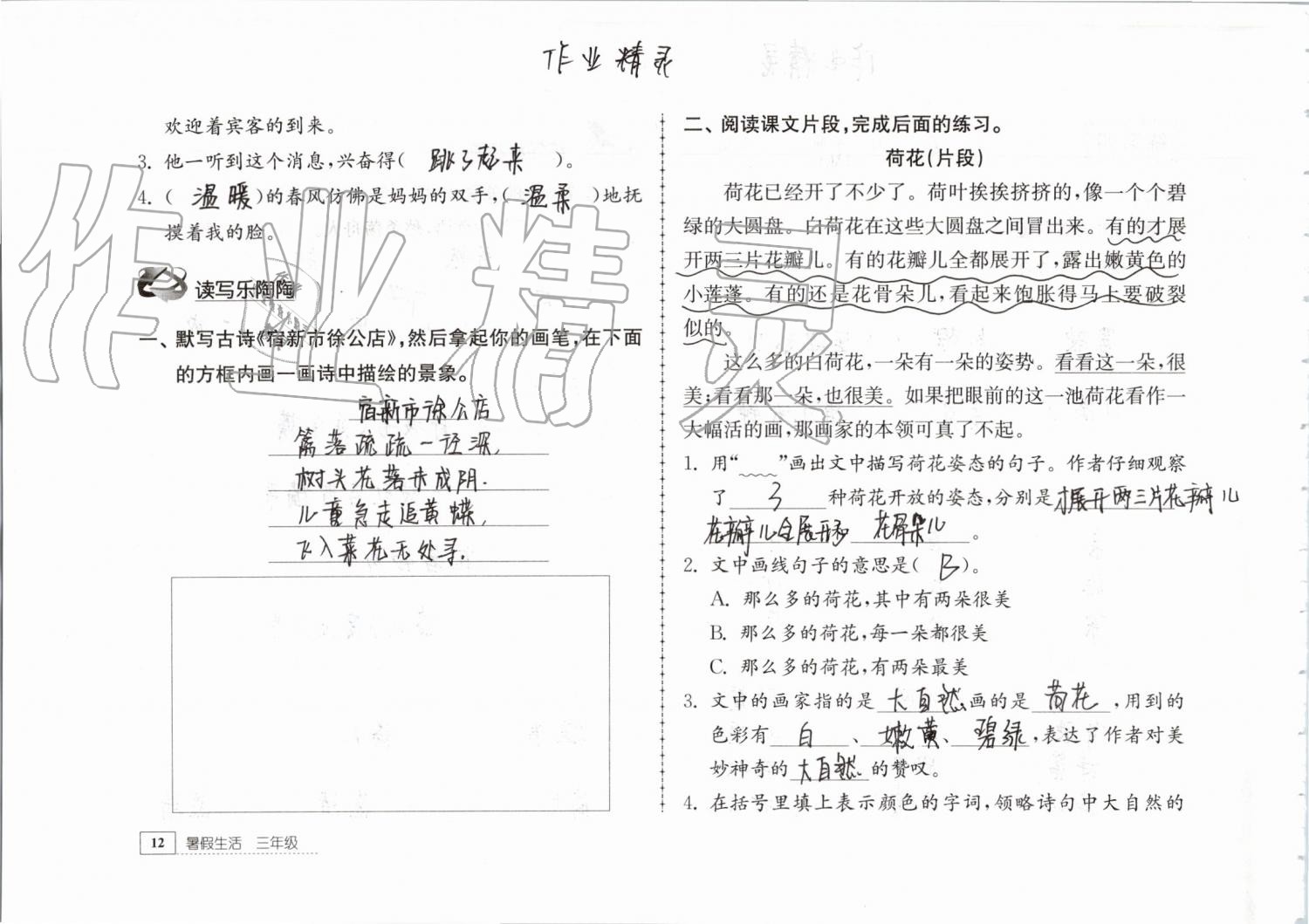 2019年暑假生活三年级教育科学出版社 第12页