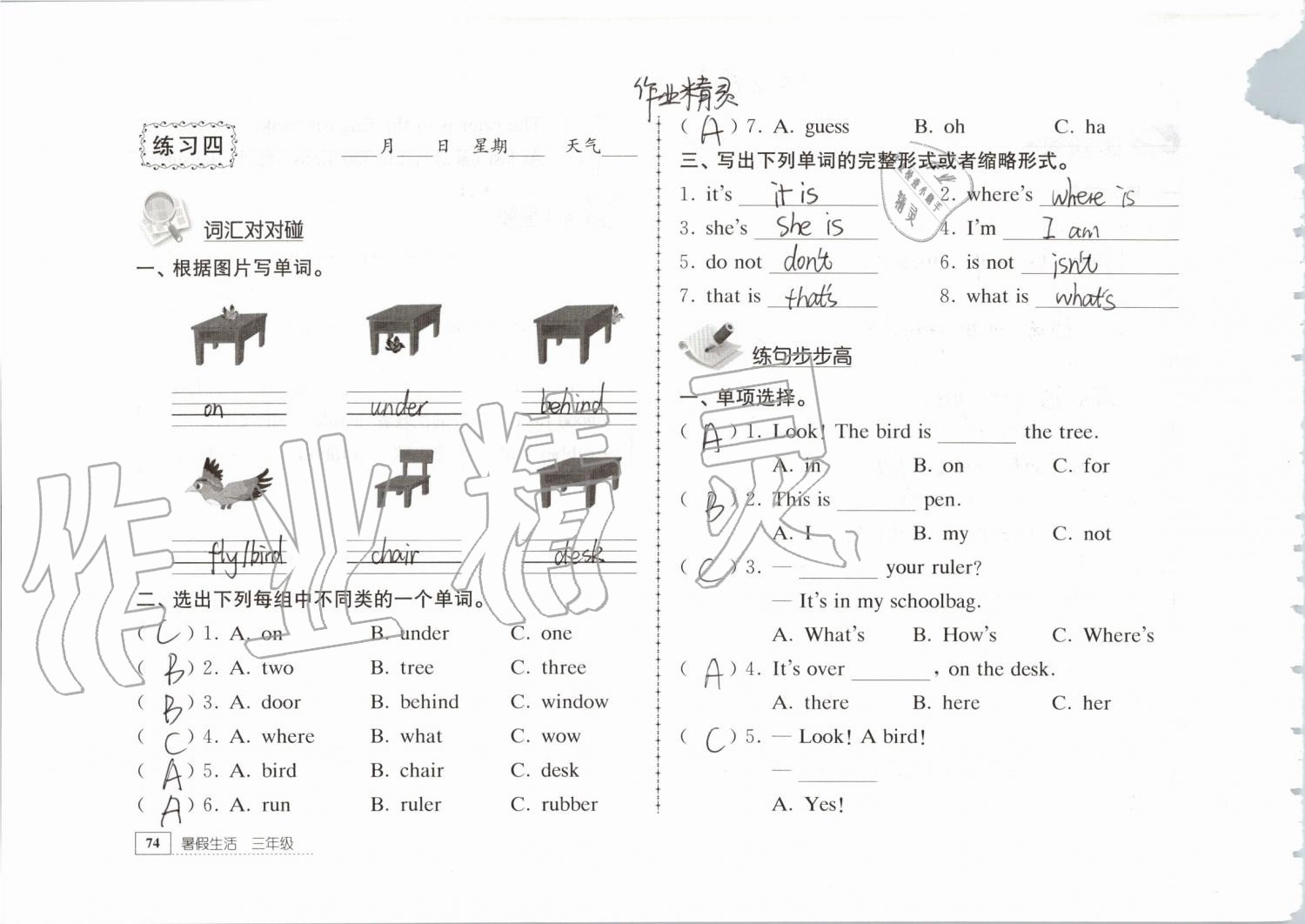 2019年暑假生活三年級(jí)教育科學(xué)出版社 第74頁