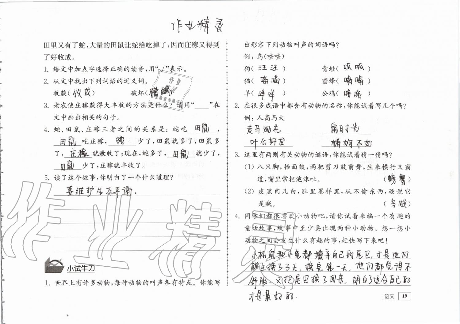 2019年暑假生活三年級教育科學(xué)出版社 第19頁