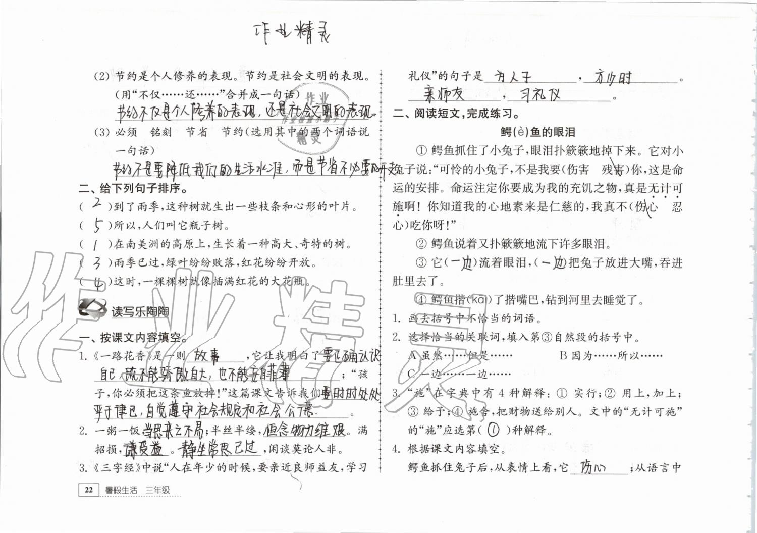 2019年暑假生活三年级教育科学出版社 第22页