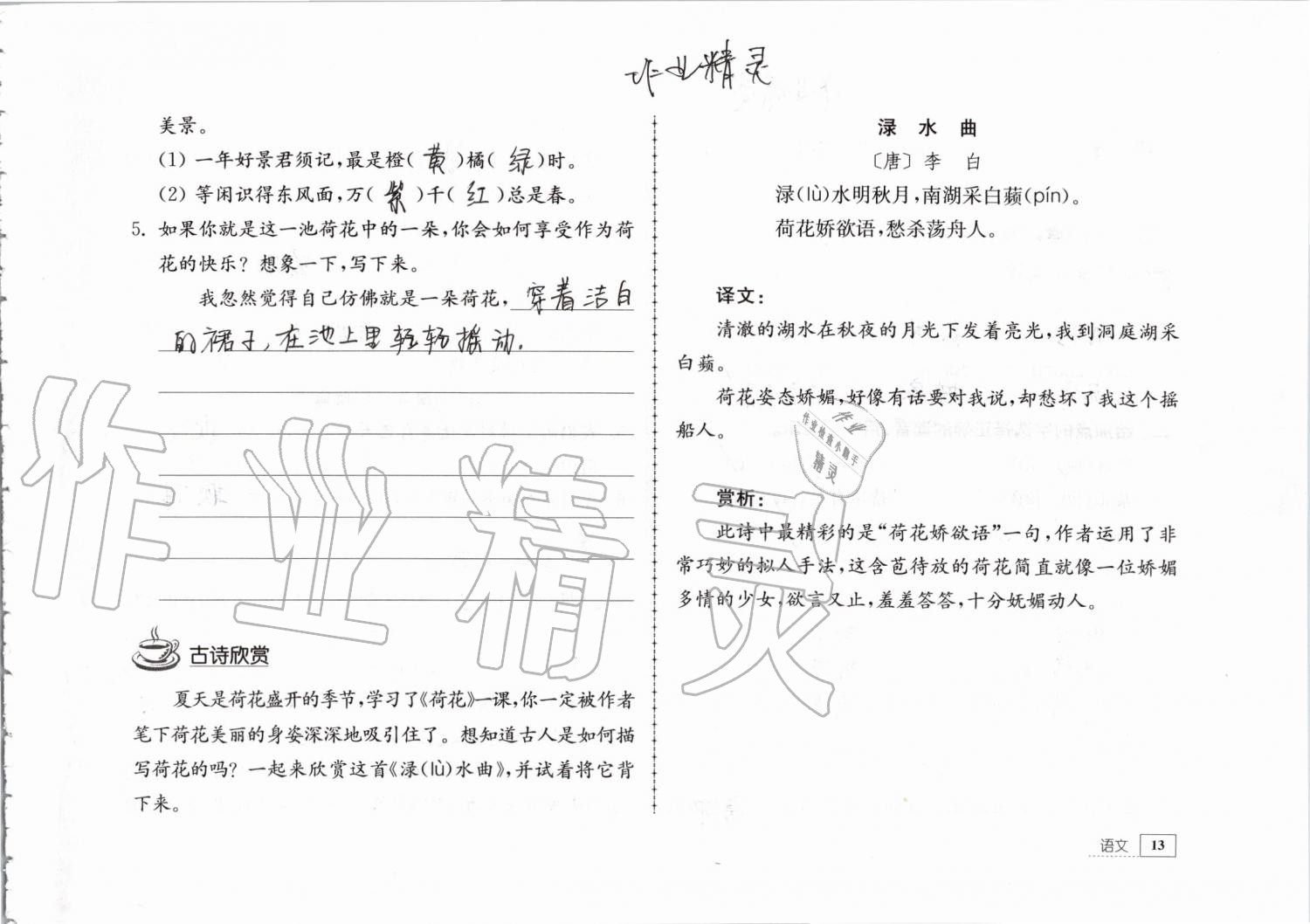 2019年暑假生活三年级教育科学出版社 第13页