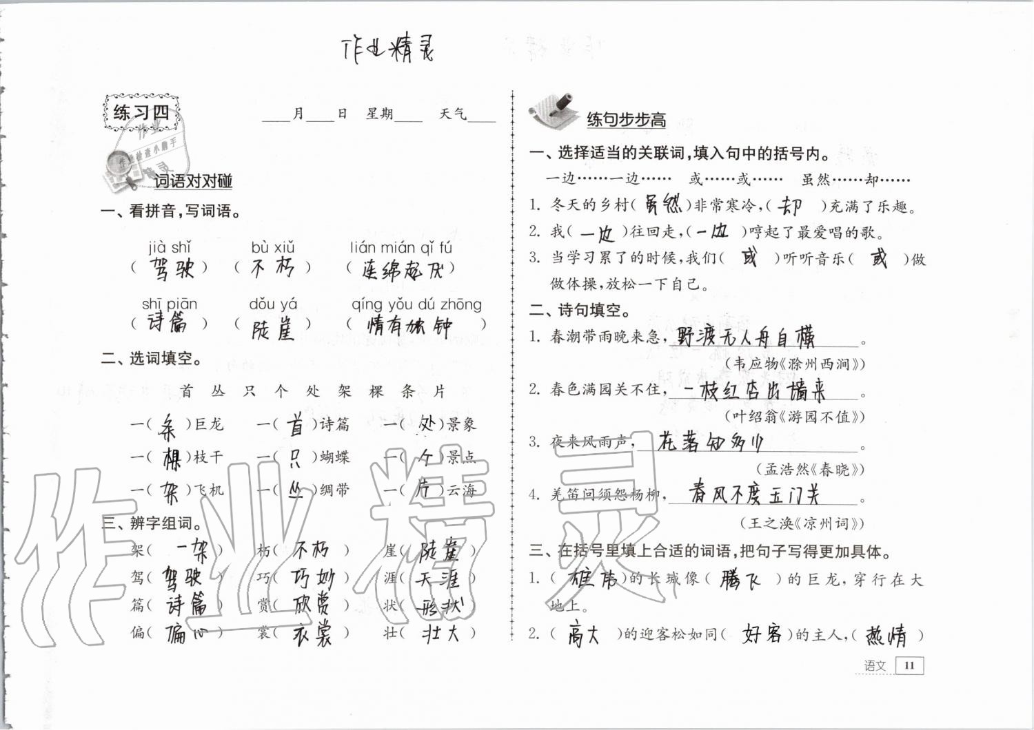 2019年暑假生活三年级教育科学出版社 第11页