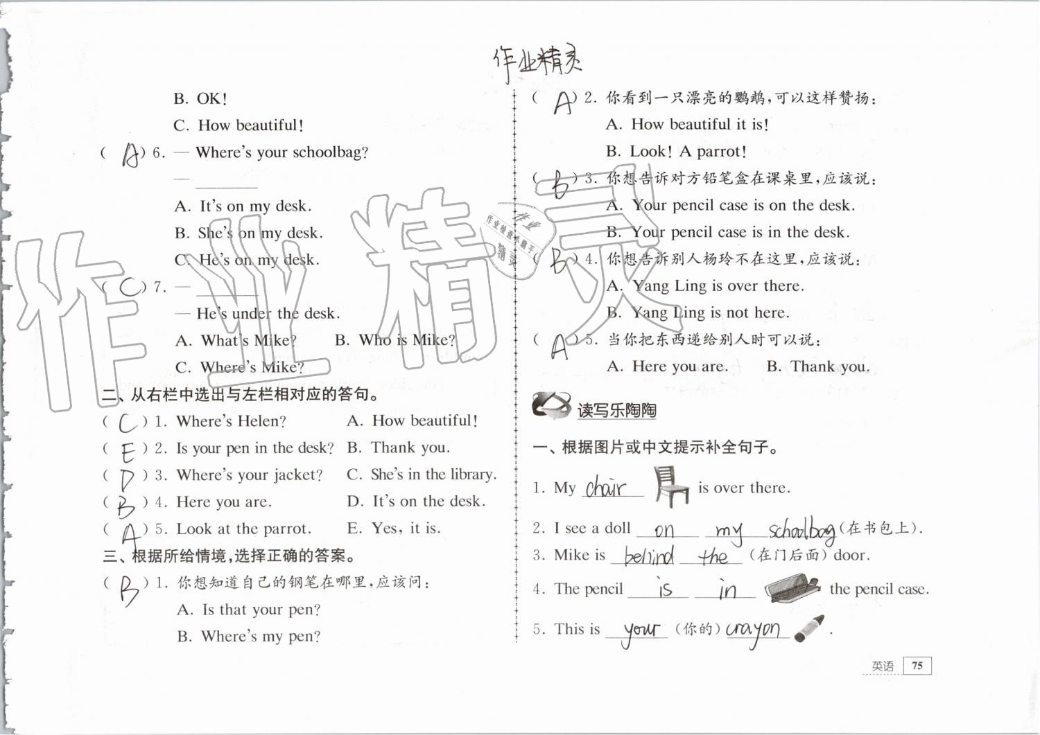 2019年暑假生活三年级教育科学出版社 第75页