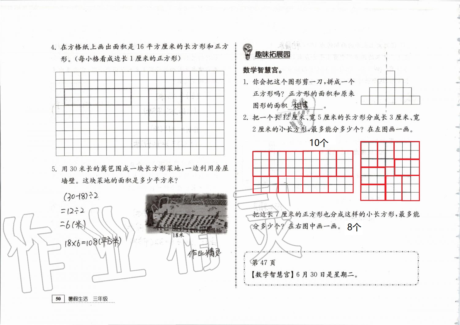 2019年暑假生活三年级教育科学出版社 第50页