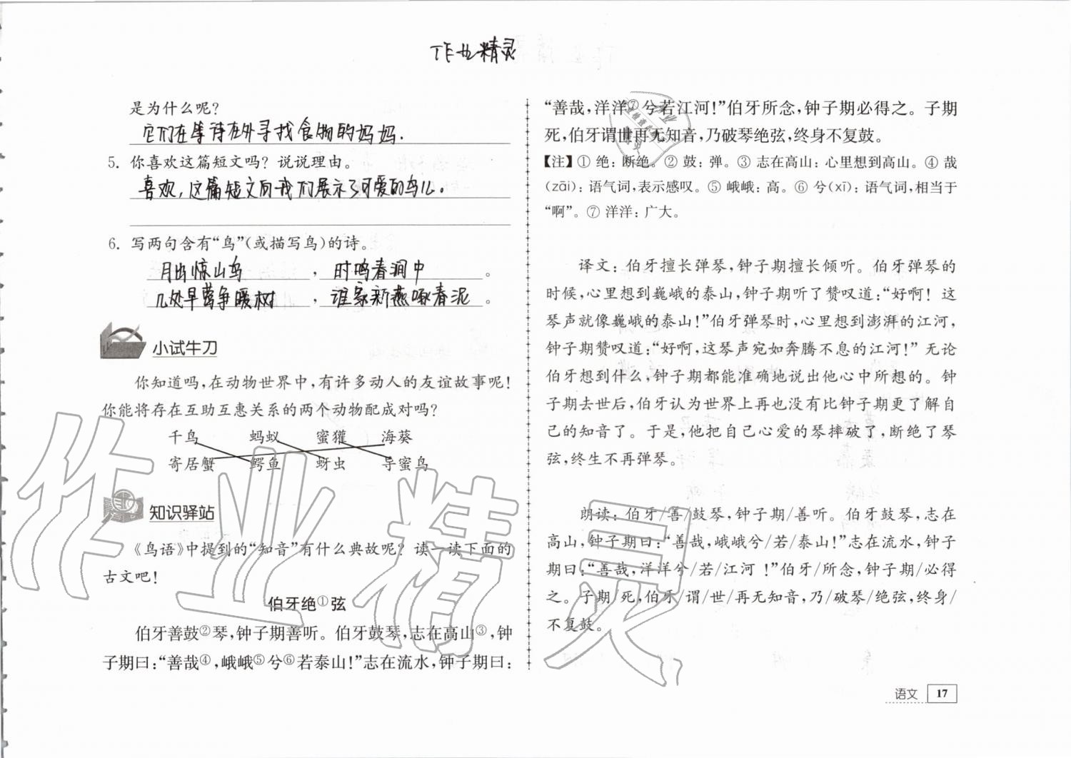 2019年暑假生活四年级教育科学出版社 第17页