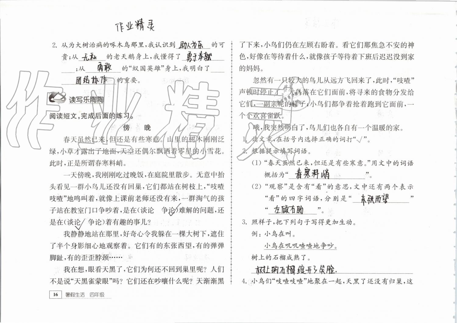 2019年暑假生活四年级教育科学出版社 第16页