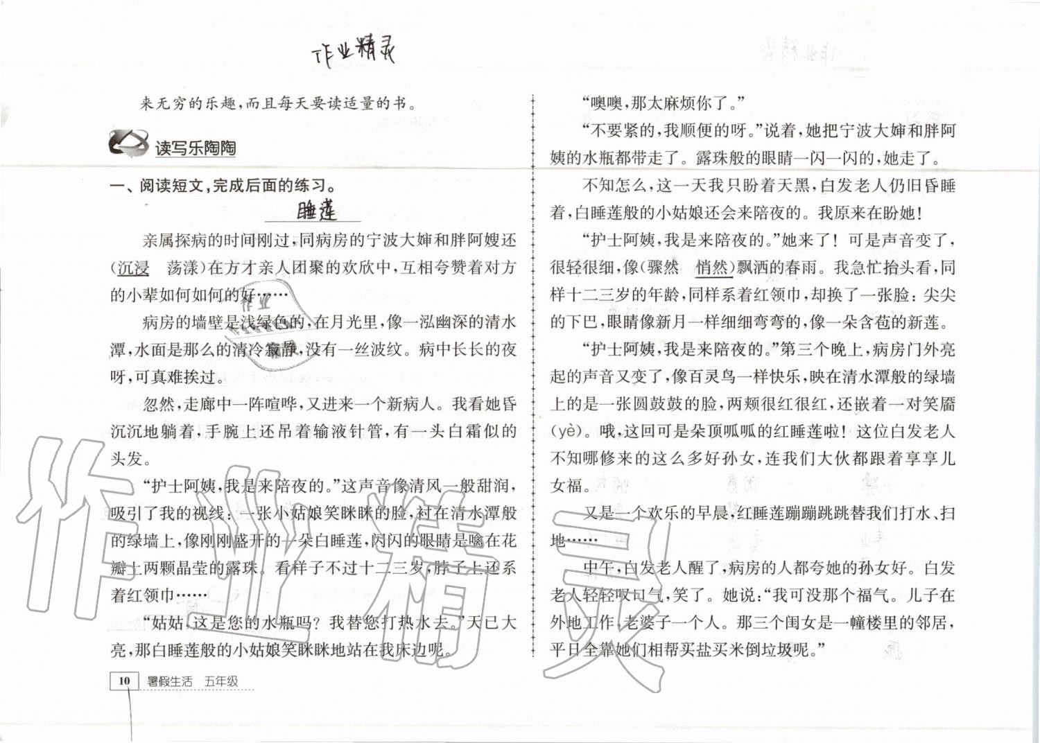 2019年暑假生活五年級教育科學出版社 參考答案第10頁