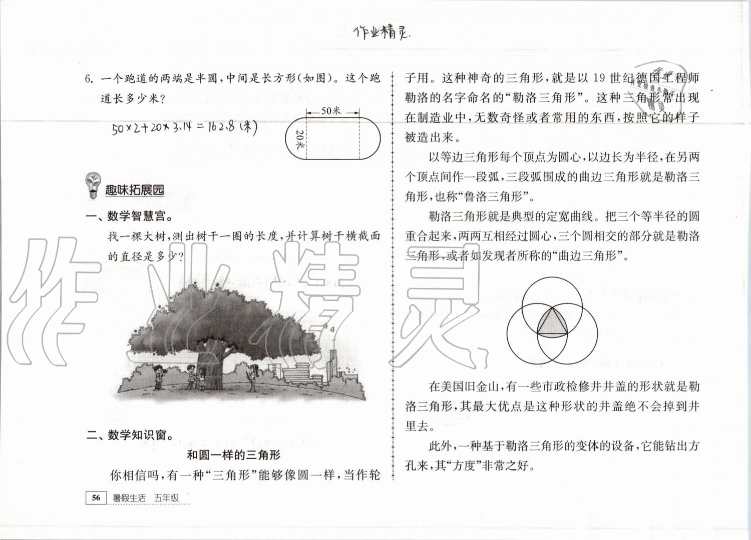 2019年暑假生活五年级教育科学出版社 参考答案第56页