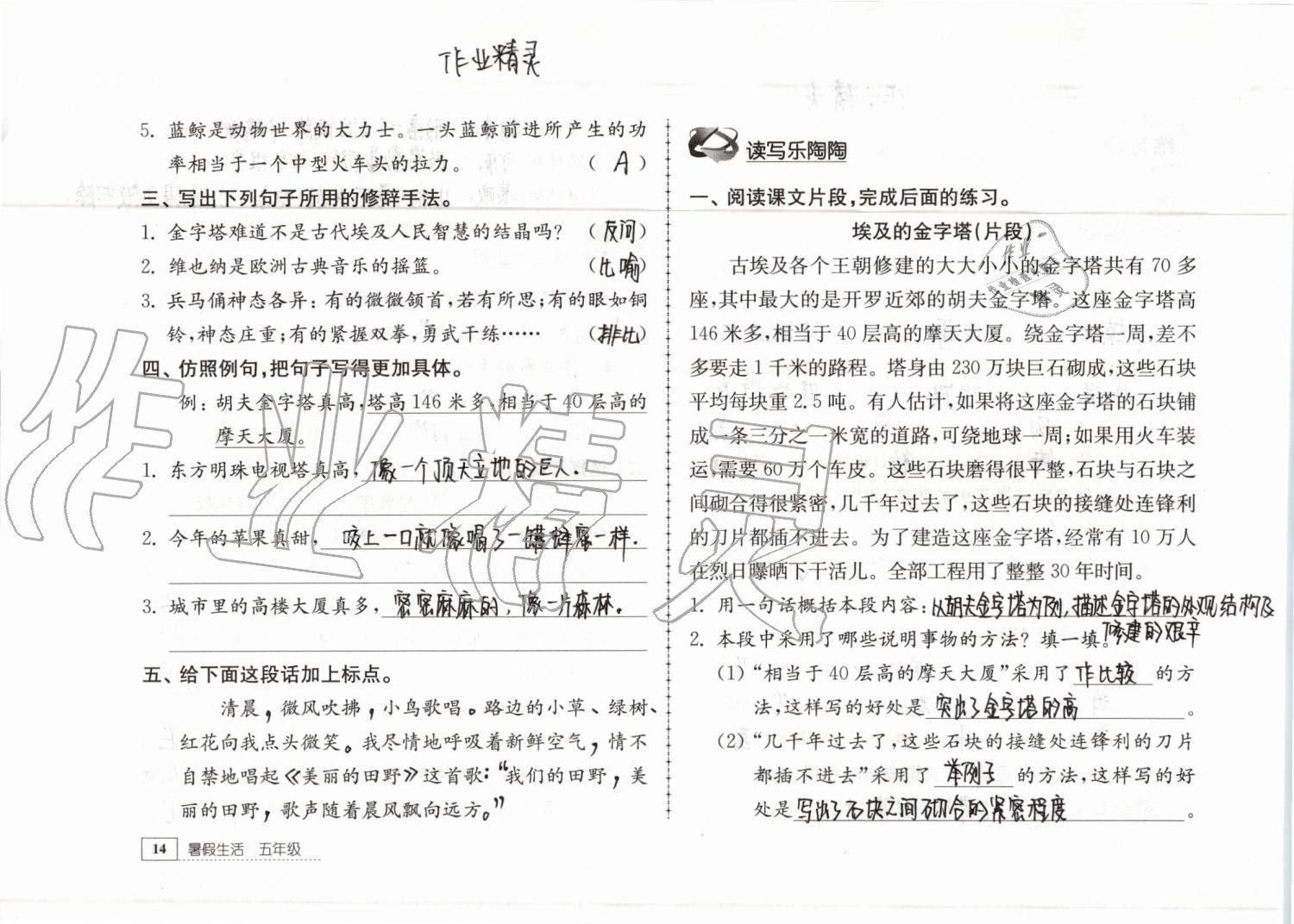 2019年暑假生活五年級教育科學出版社 參考答案第14頁