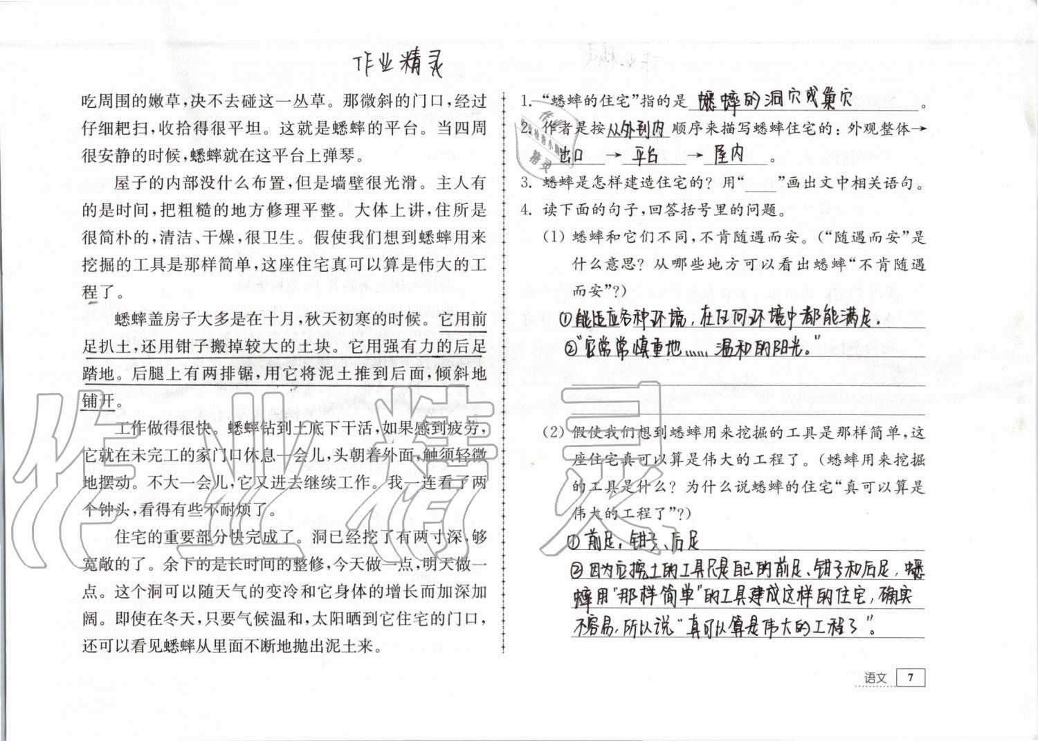 2019年暑假生活五年級(jí)教育科學(xué)出版社 參考答案第7頁