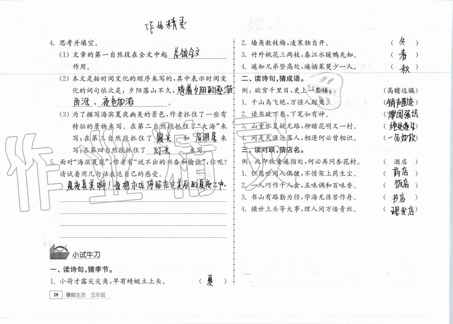 2019年暑假生活五年级教育科学出版社 参考答案第28页