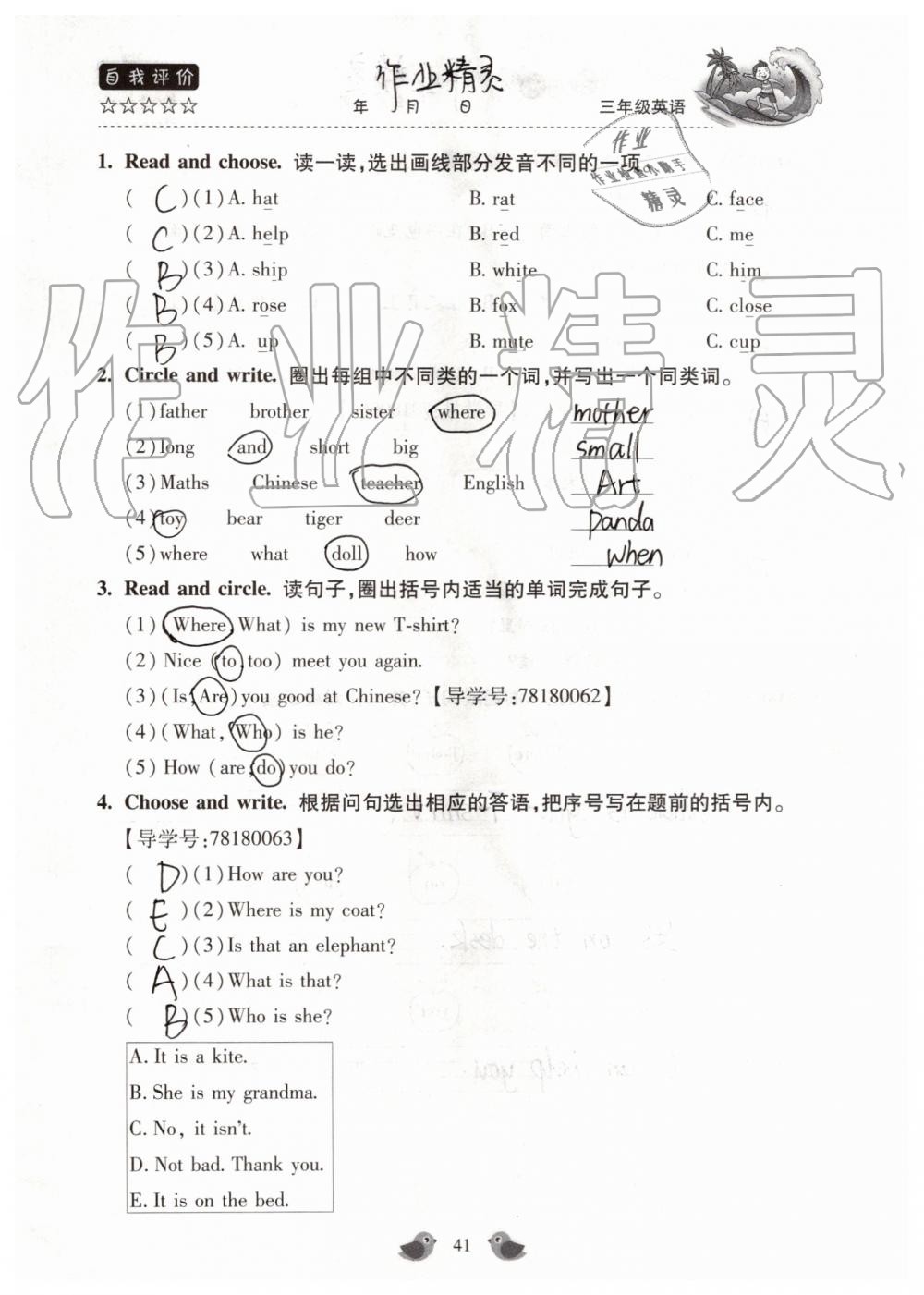 2019年世超金典暑假乐园三年级英语科普版 第41页