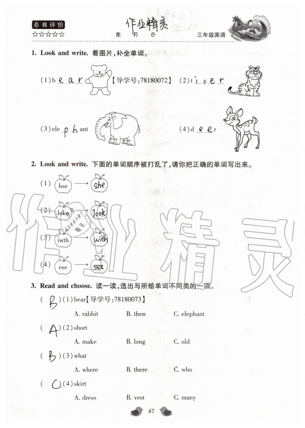 2019年世超金典暑假乐园三年级英语科普版 第47页