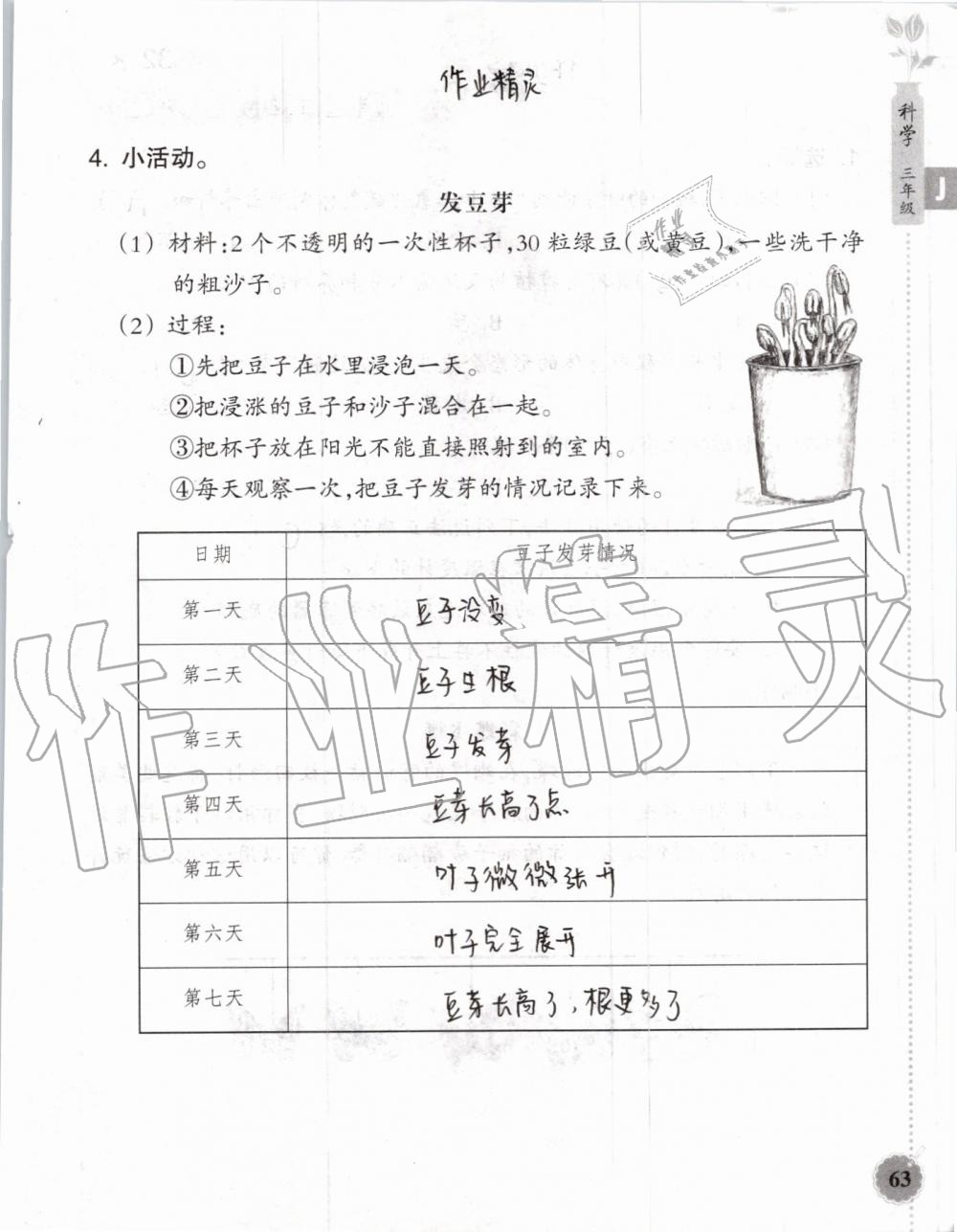 2019年暑假作业本三年级数学科学教科版浙江教育出版社 第62页