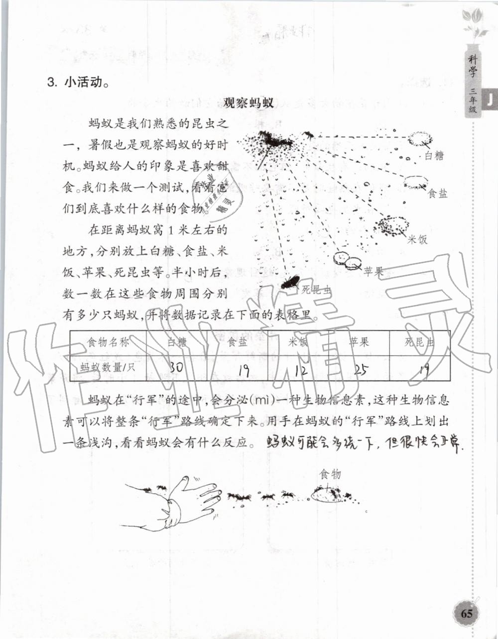 2019年暑假作业本三年级数学科学教科版浙江教育出版社 第64页