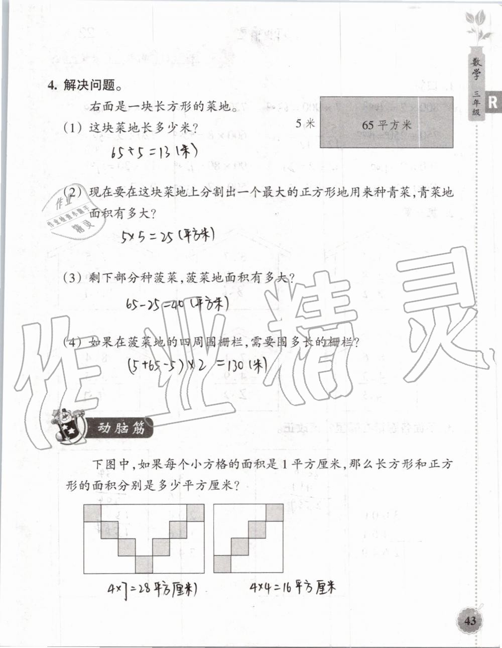 2019年暑假作业本三年级数学科学教科版浙江教育出版社 第42页