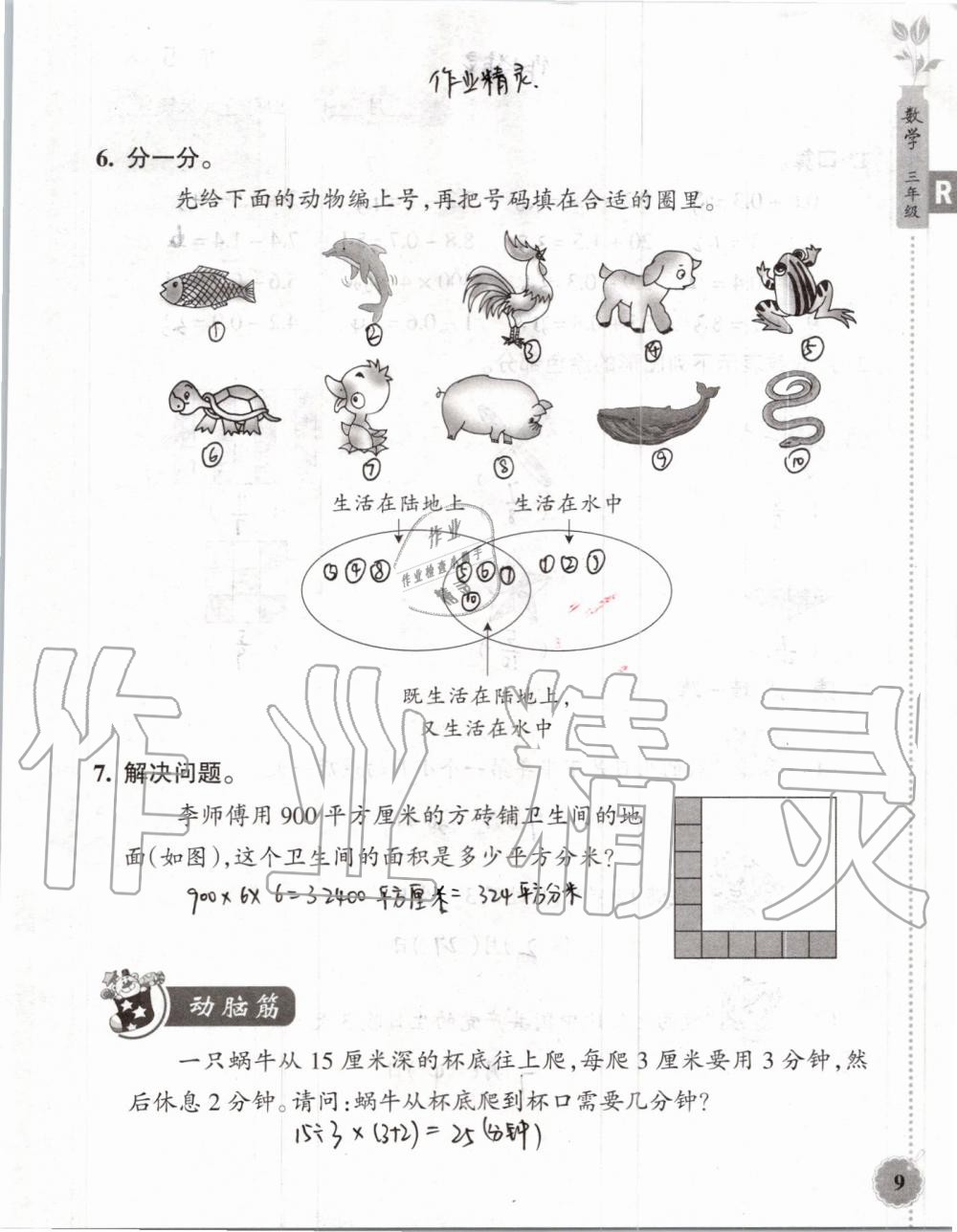 2019年暑假作业本三年级数学科学教科版浙江教育出版社 第8页