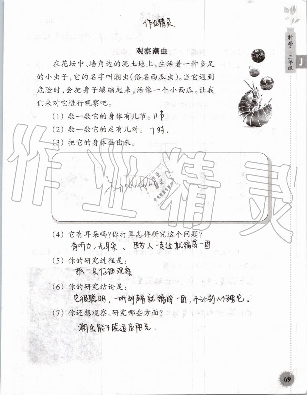 2019年暑假作业本三年级数学科学教科版浙江教育出版社 第68页