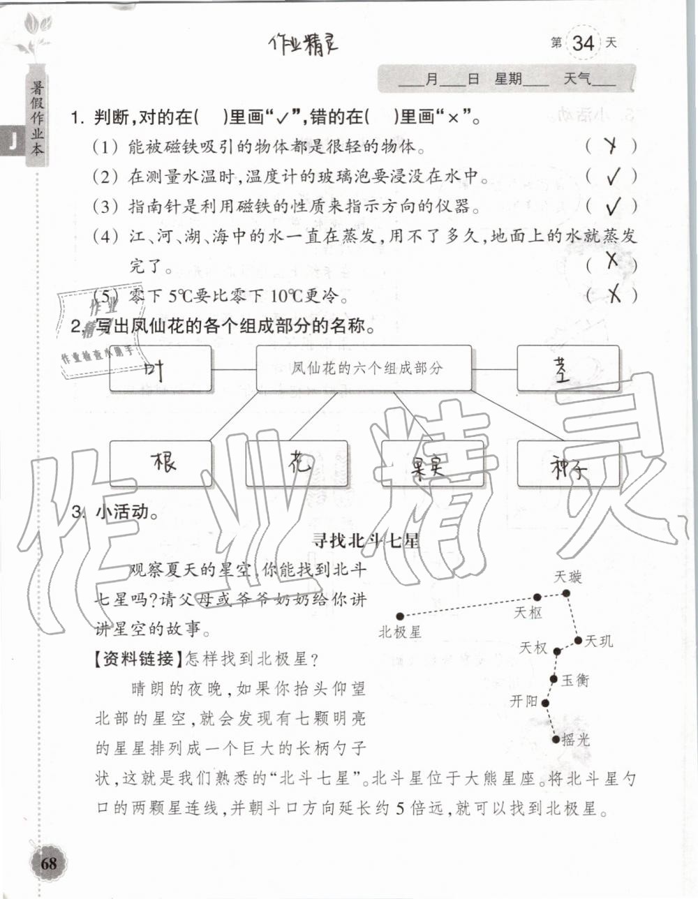 2019年暑假作業(yè)本三年級(jí)數(shù)學(xué)科學(xué)教科版浙江教育出版社 第67頁